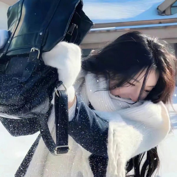 迎亲之辱凤凰涅槃